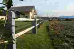 Tessinerzaun3Abend-DSCN3413